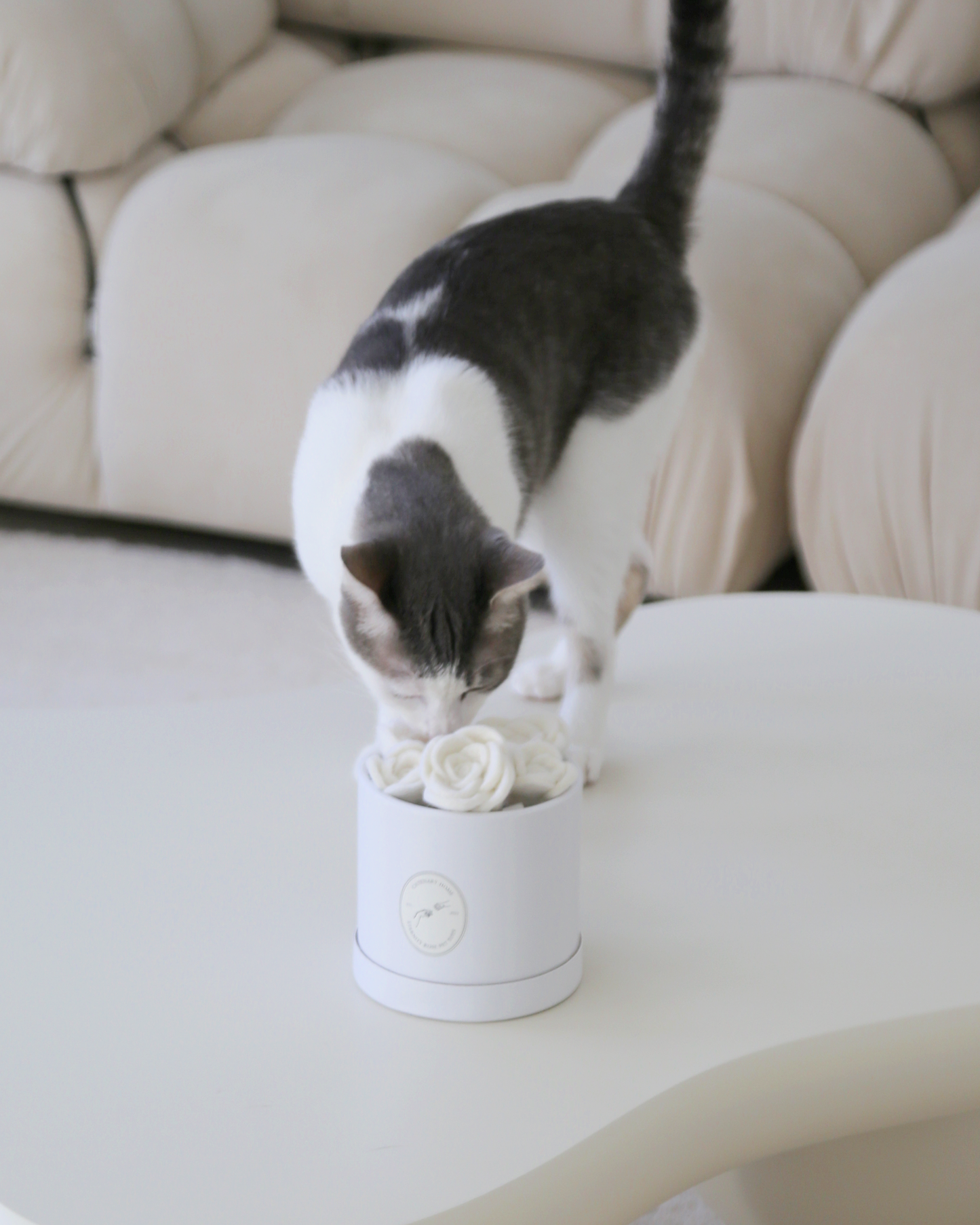 Flora Eterna – Leksakslåda för katt med handgjorda ullrosor