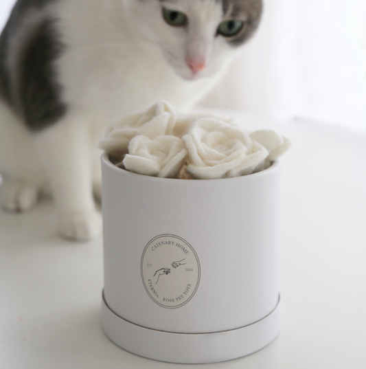 Gråvit katt som nyfiket nosar på vita filtade ullrosor i en elegant rund leksaksbox