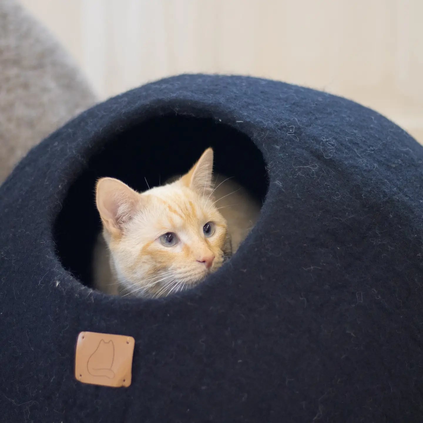 Premium kattgrotta i merinoull - Nattsvart