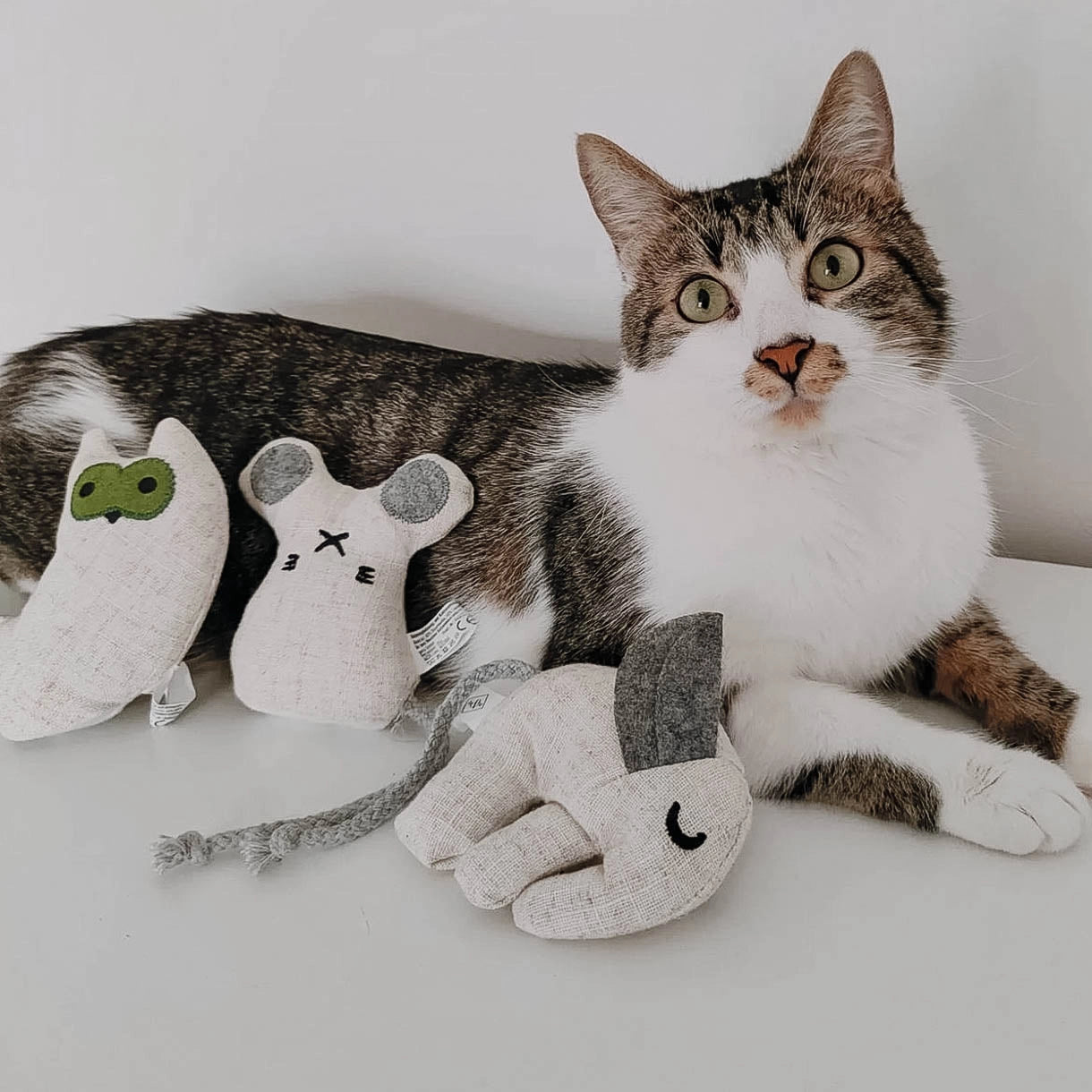 Kattleksak med kattmynta – 3-pack (inkl. refill)