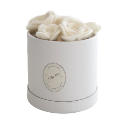 Flora Eterna – Leksakslåda för katt med handgjorda ullrosor