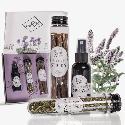 Presentset med naturliga kattörter – 3-pack