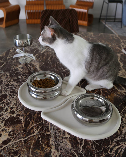 Halo Chrome – upphöjd matskål i keramik – ergonomisk & morrhårsvänlig