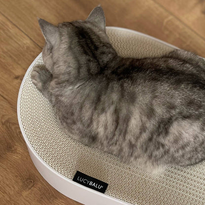 Designad klösbädd – Oval 63 cm