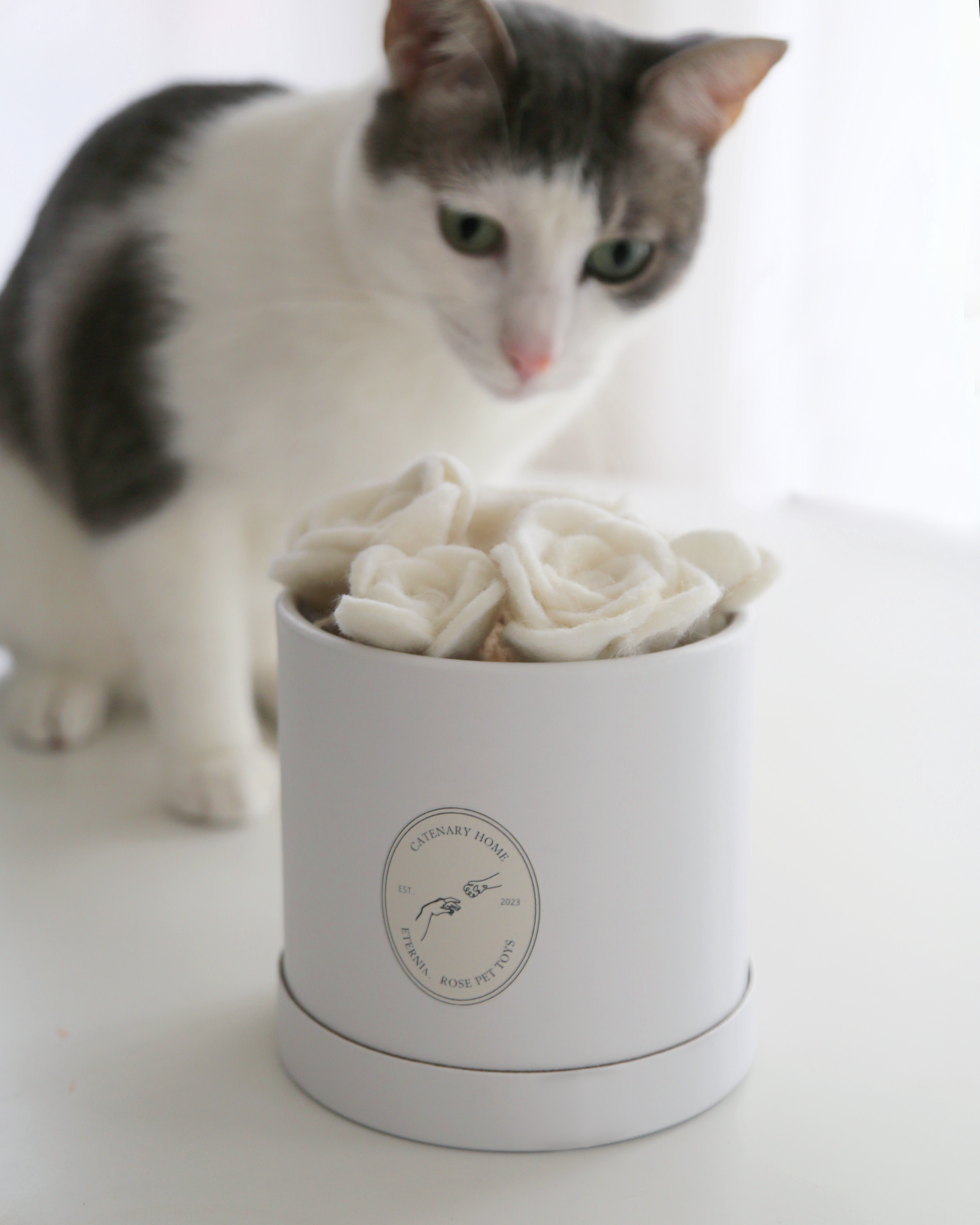 Flora Eterna – Leksakslåda för katt med handgjorda ullrosor
