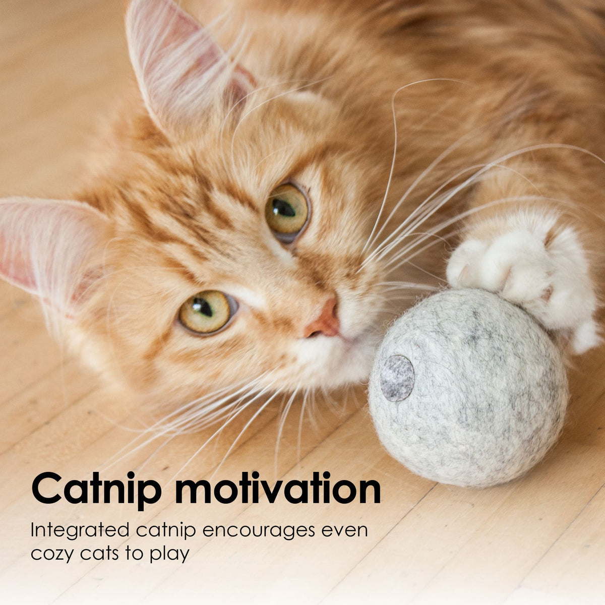 Mint Ball – Filtboll med kattmynta