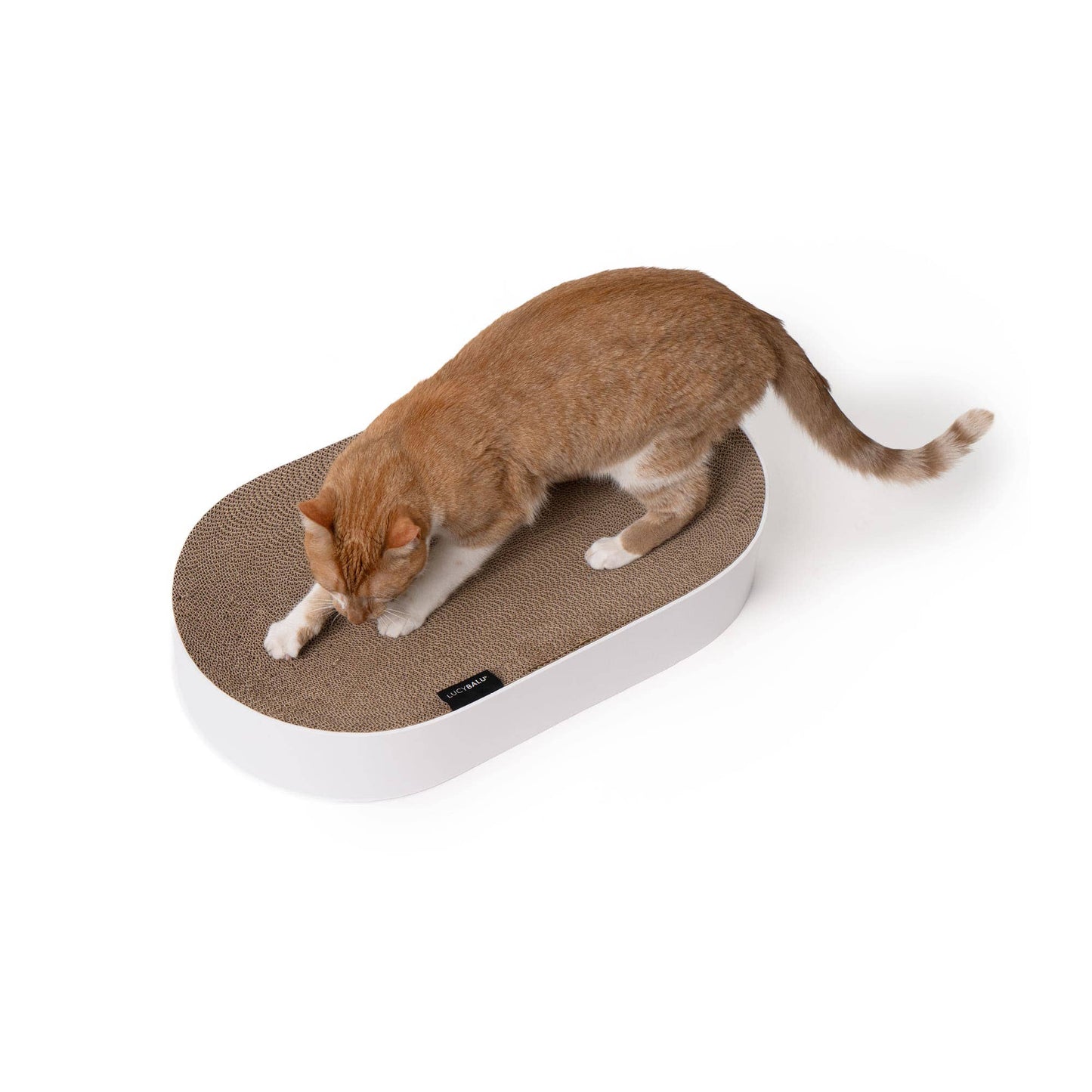 Designad klösbädd – Oval 63 cm