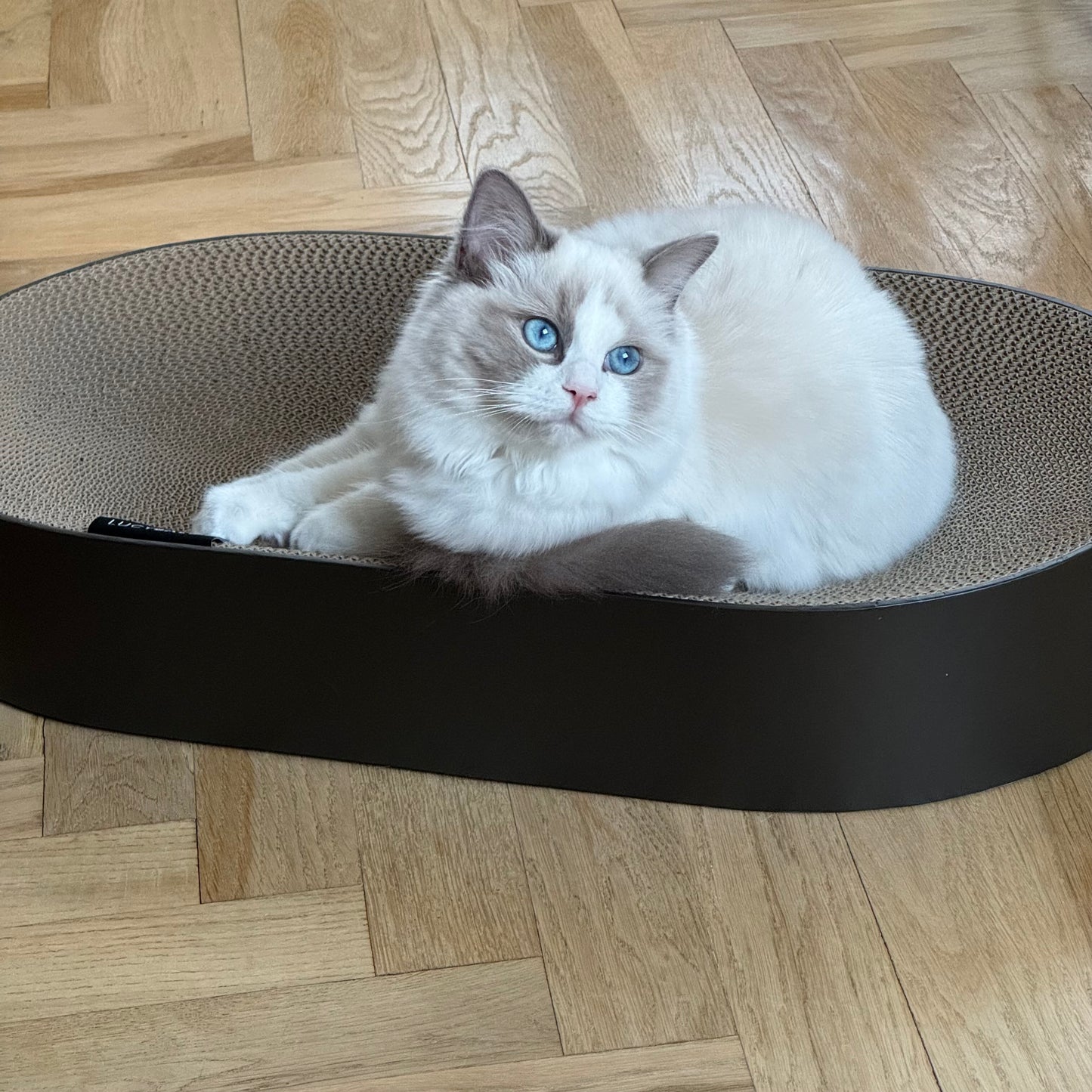Designad klösbädd – Oval 63 cm