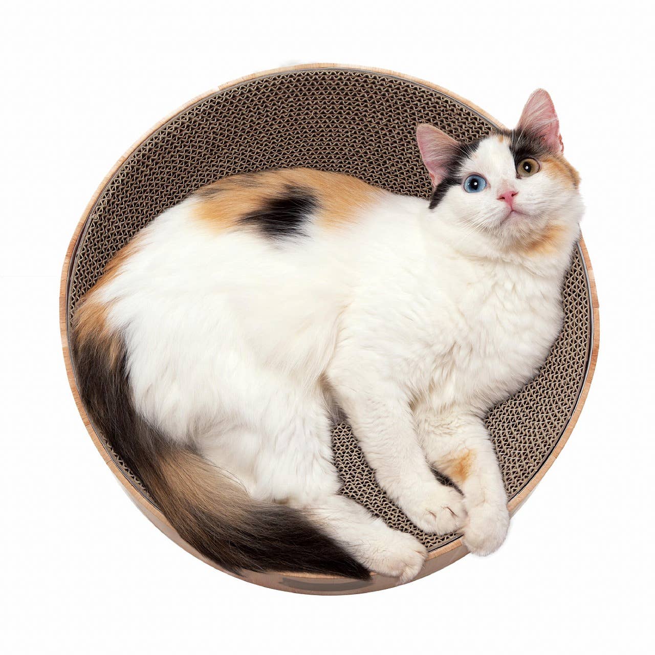 Cozy Cat scratcher - Klösbädd med utbytbar dyna