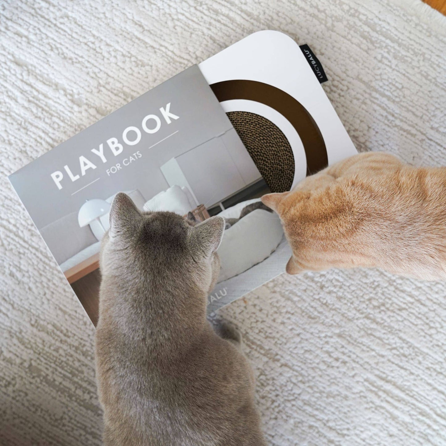 Playbook – Interaktiv kattleksak