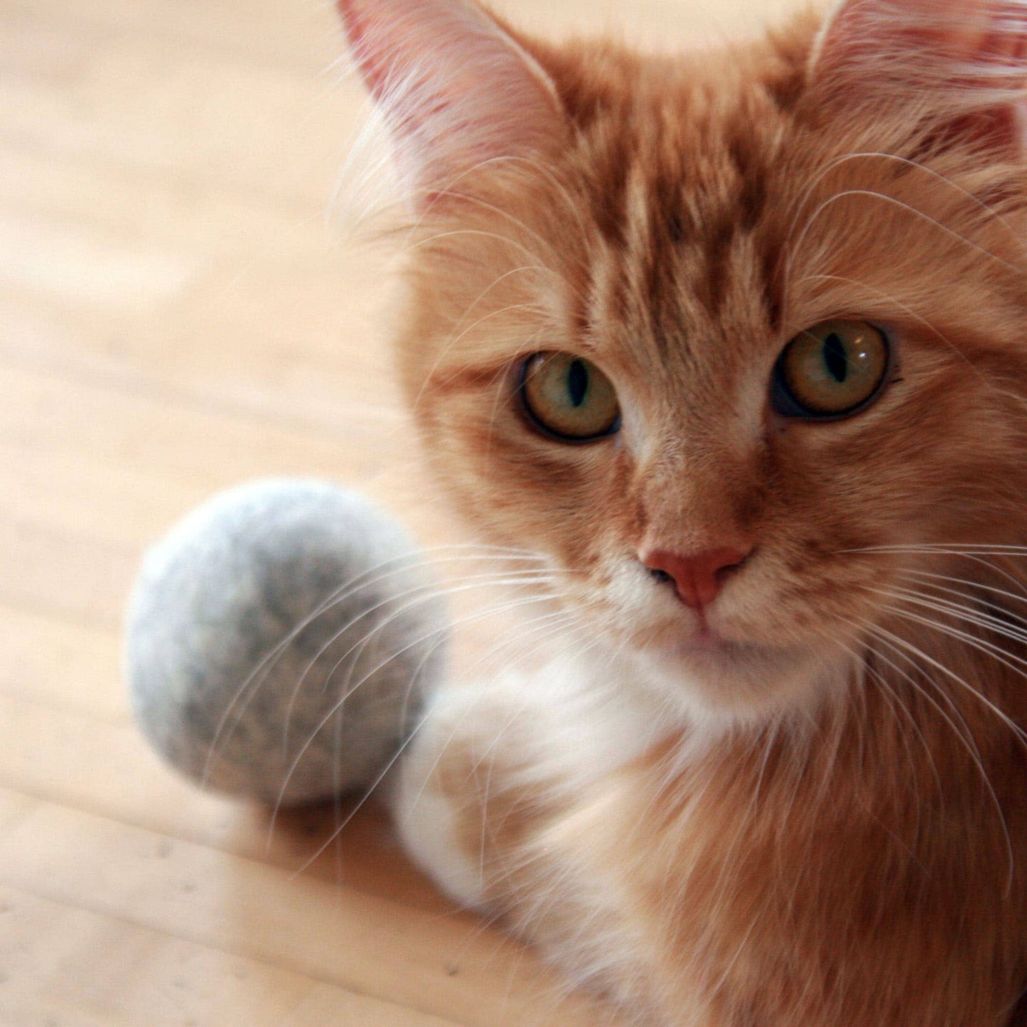 Mint Ball – Filtboll med kattmynta