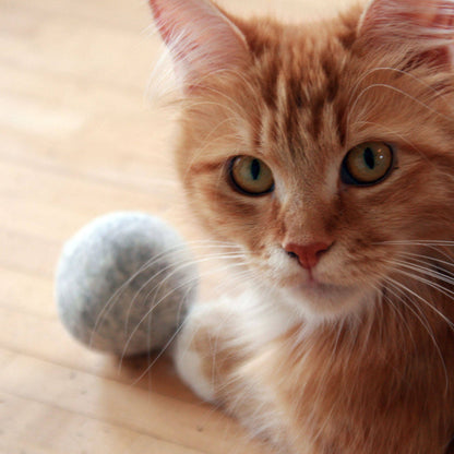 Mint Ball – Filtboll med kattmynta