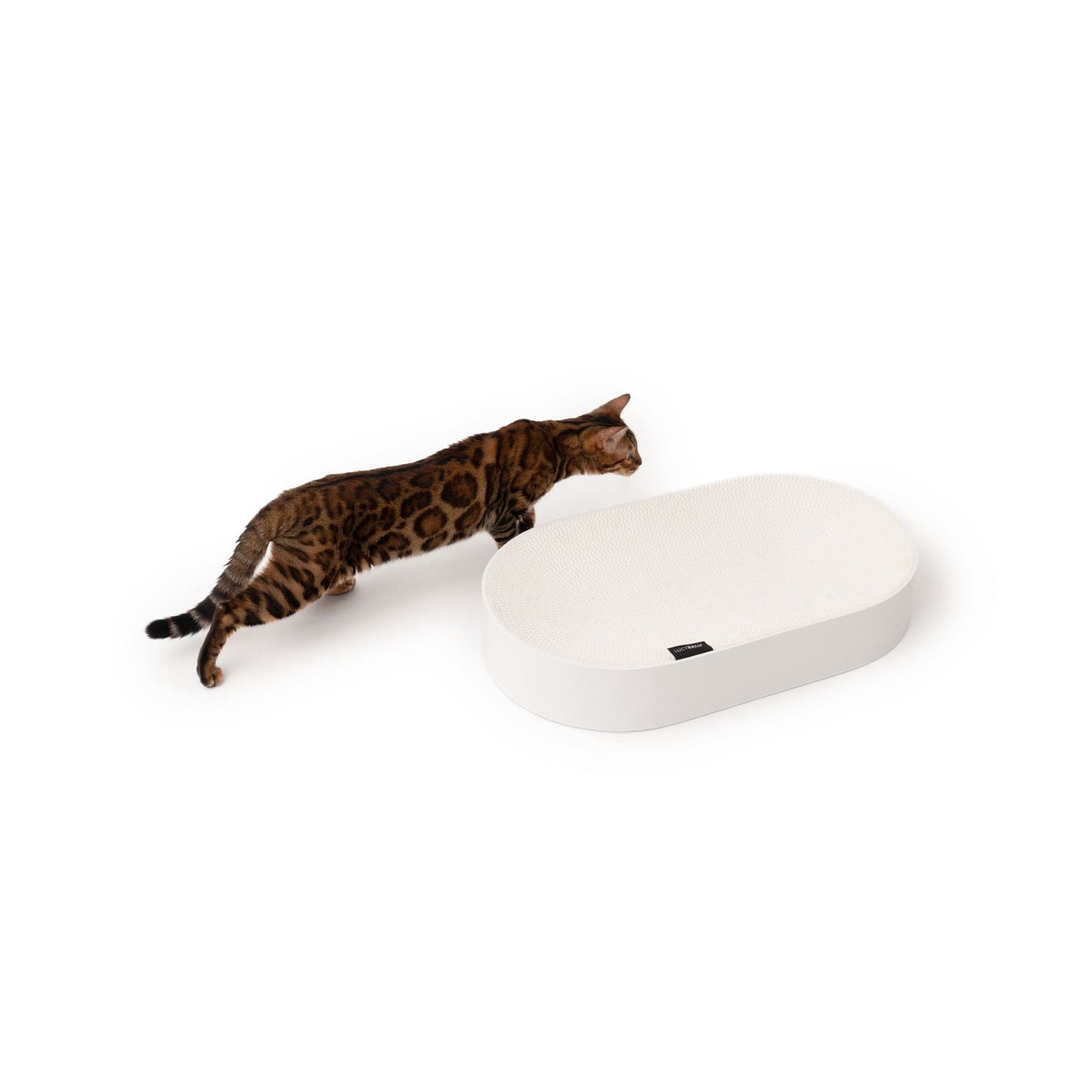 Designad klösbädd – Oval 63 cm