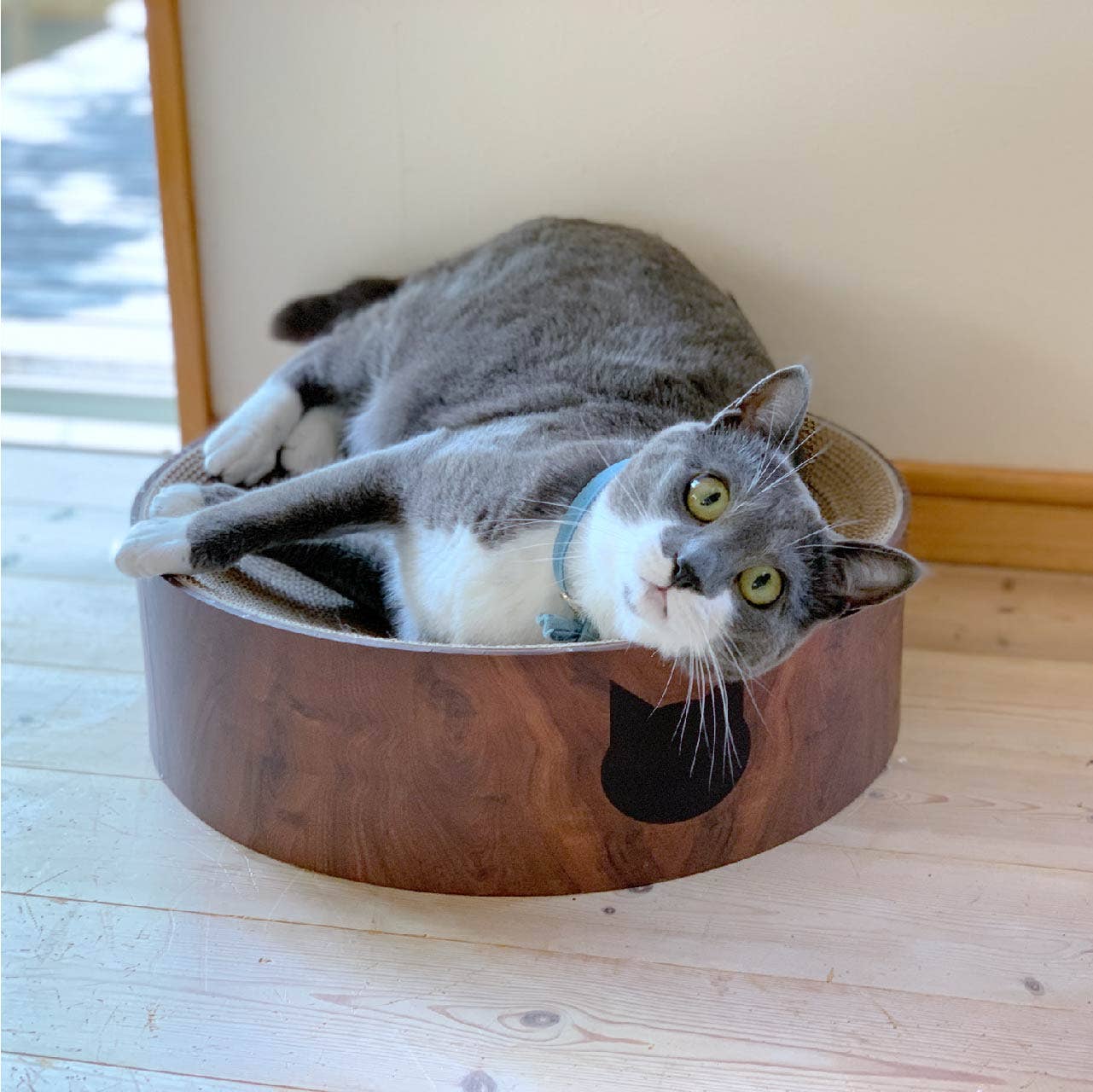 Cozy Cat scratcher - Klösbädd med utbytbar dyna
