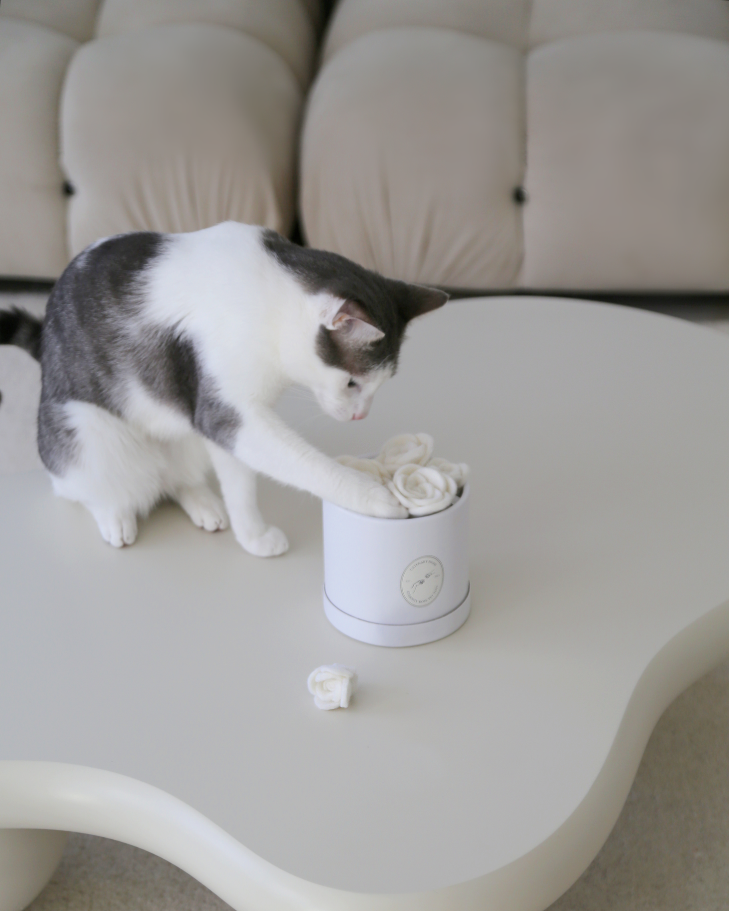 Flora Eterna – Leksakslåda för katt med handgjorda ullrosor