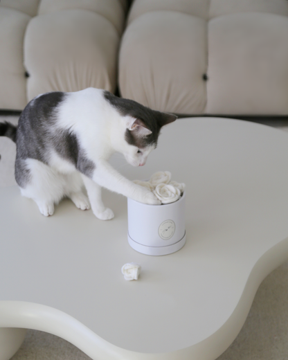 Flora Eterna – Leksakslåda för katt med handgjorda ullrosor