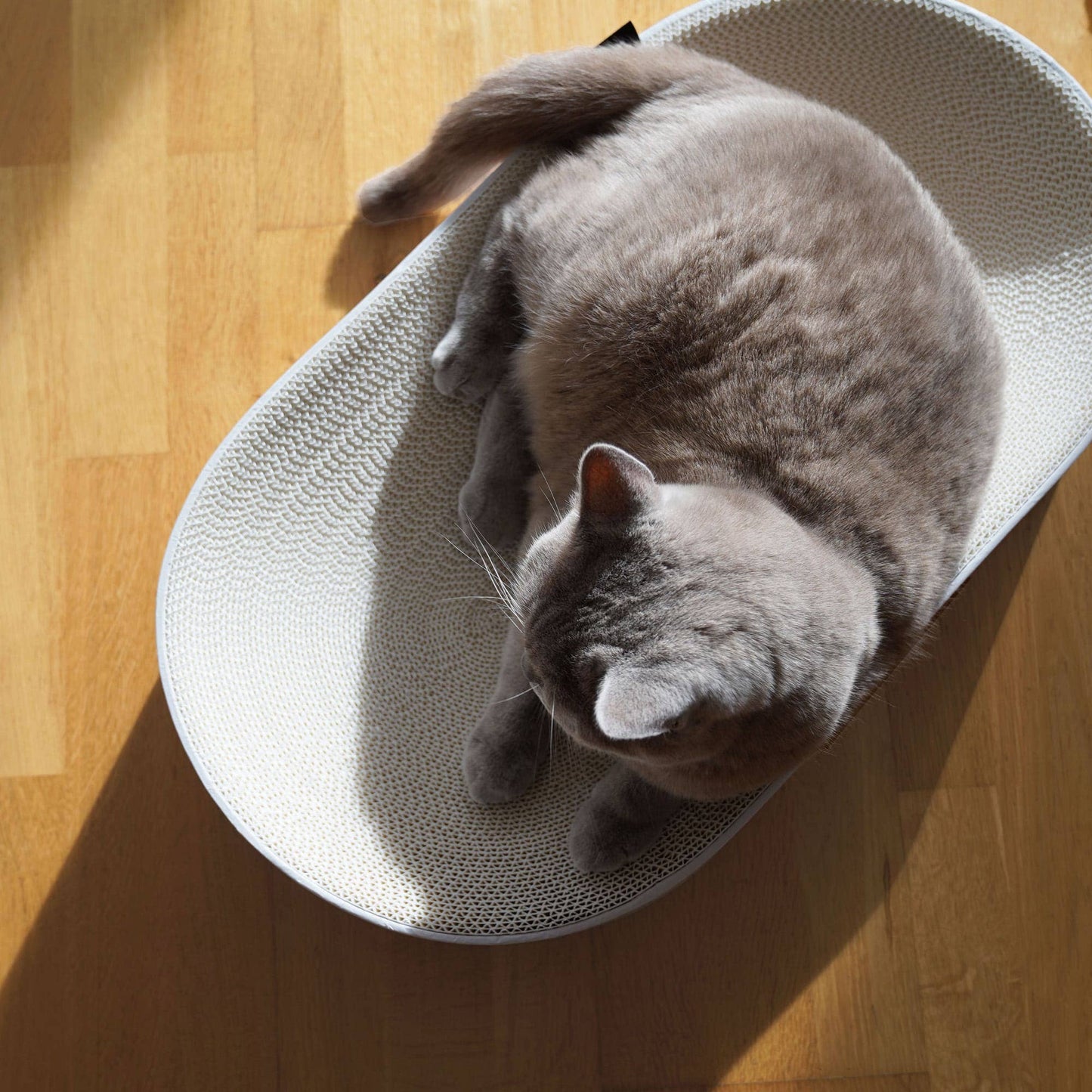 Designad klösbädd – Oval 63 cm