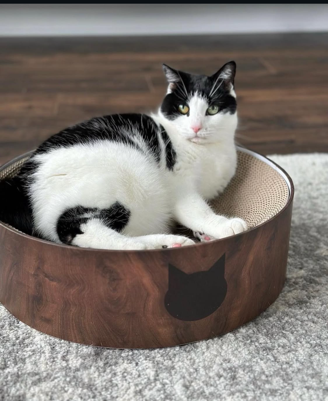 Klösbädd  med refill – hållbar & stilren klösmöbel