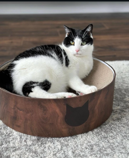 Klösbädd  med refill – hållbar & stilren klösmöbel