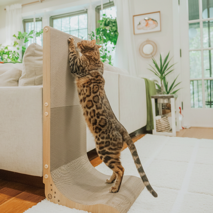 Stilren vändbar klösbräda – miljövänlig & hållbar design