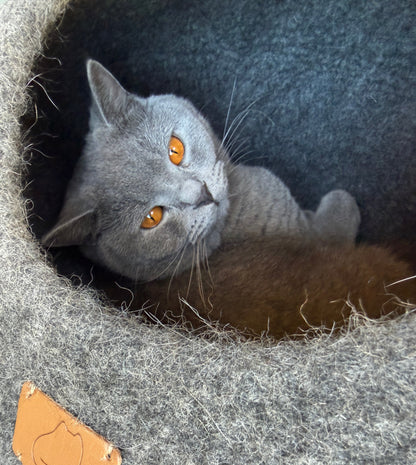 Premium Kattgrotta i ekologisk ull – Stengrå