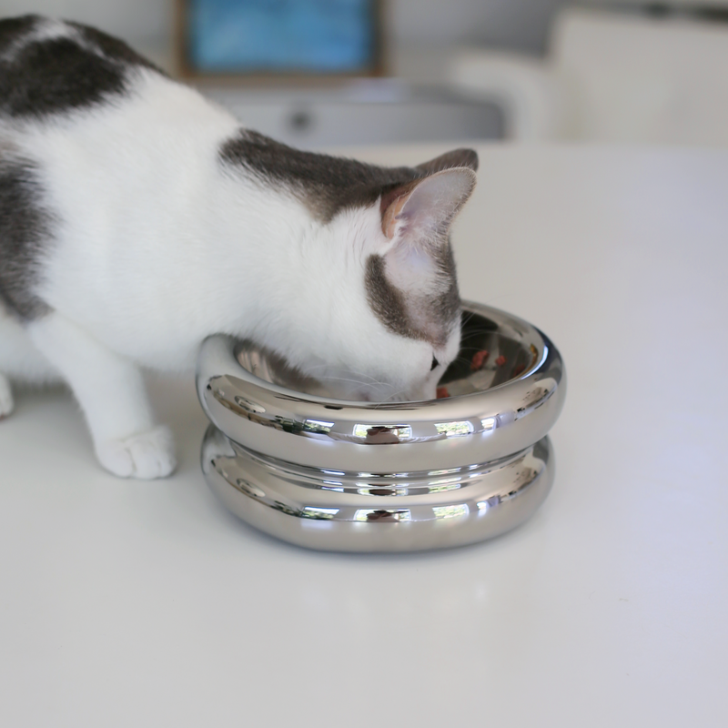 Halo Chrome – upphöjd matskål i keramik – ergonomisk & morrhårsvänlig