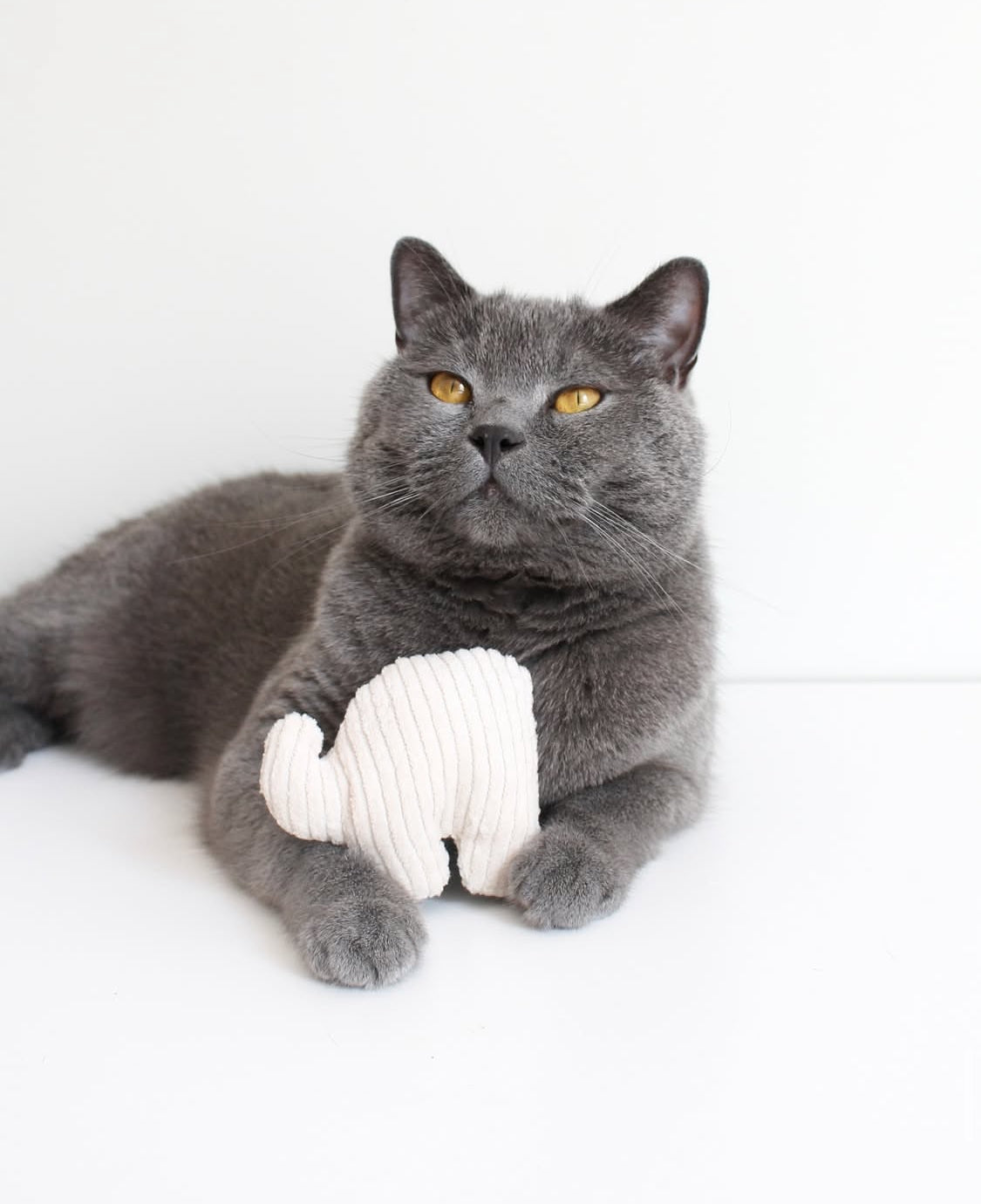 Naturlig kattleksak – elefant med kattmynta eller valeriana