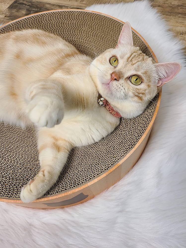 Refill - Cozy Cat scratcher