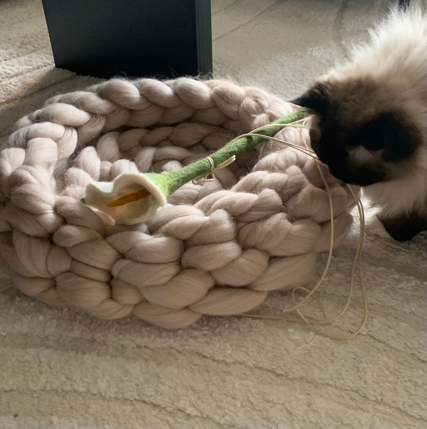 Chunky - Handstickad kattbädd i merinoull - Sand