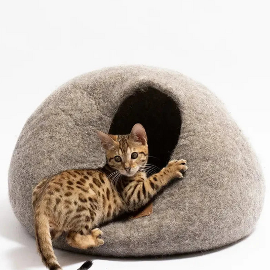 Premium Kattgrotta i ekologisk ull – Jordbrun