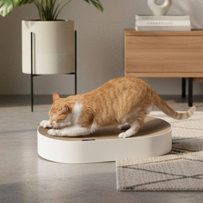 Designad klösbädd – Oval 63 cm