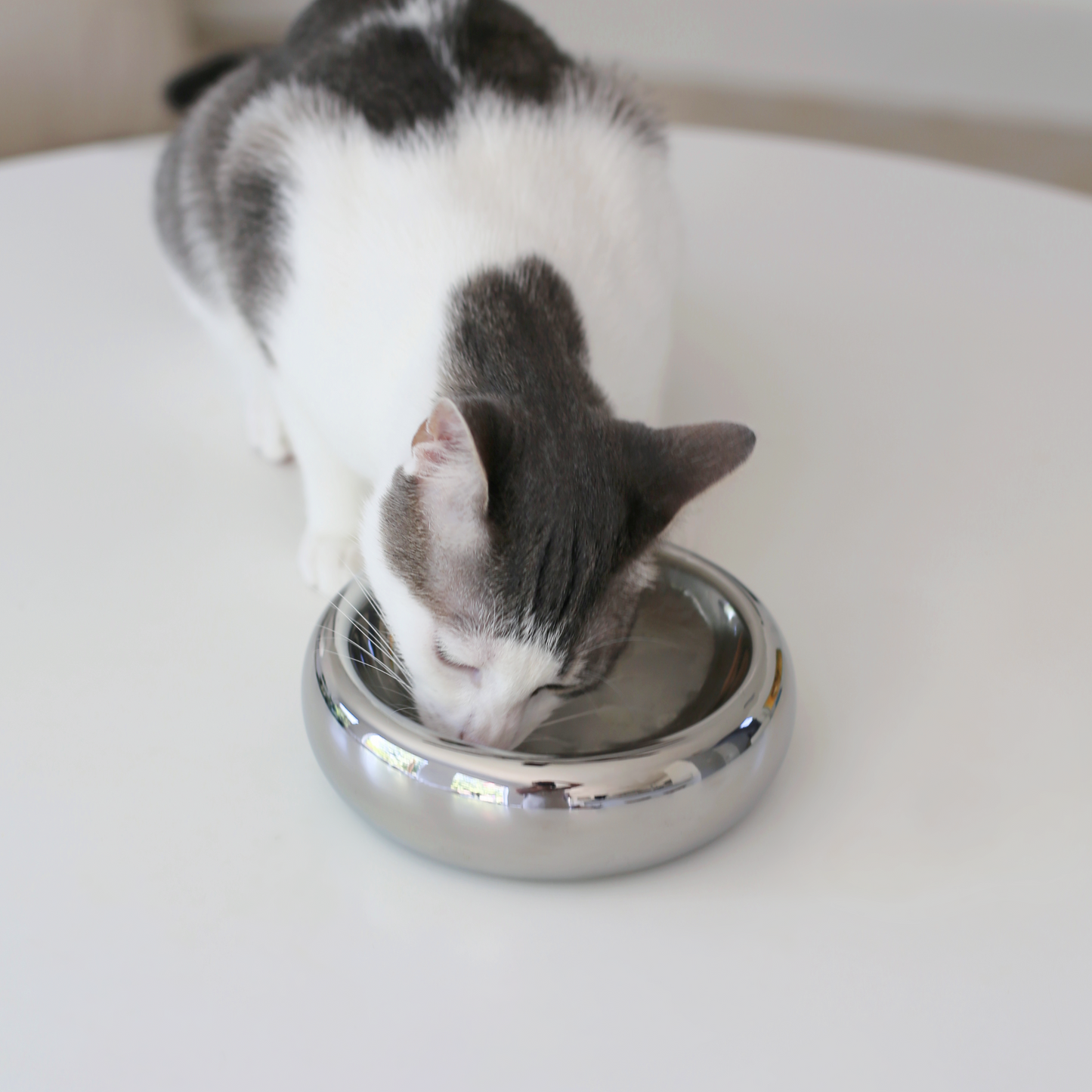 Halo Chrome – matskål i keramik – stilren & morrhårsvänlig