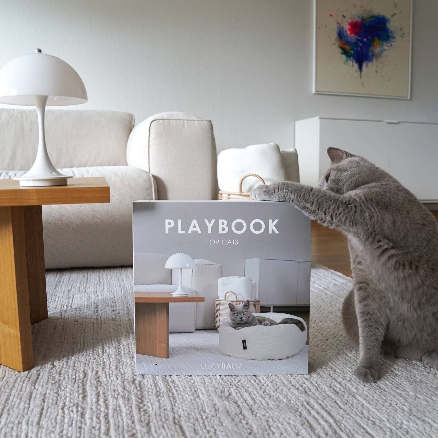 Playbook – Interaktiv kattleksak