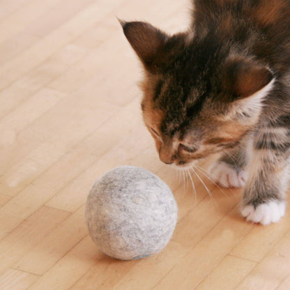 Mint Ball – Filtboll med kattmynta