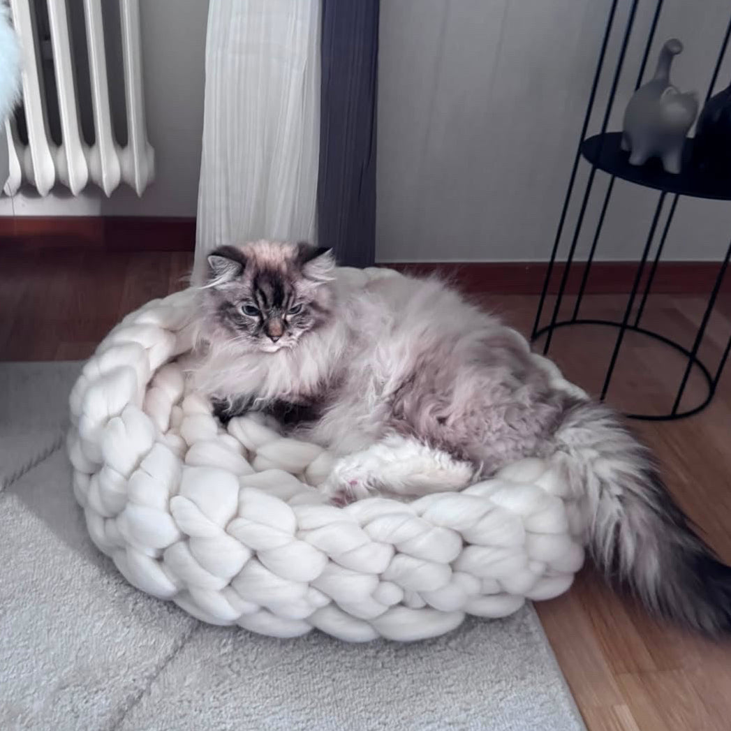 Katt som vilar i Chunky kattbädd i merinoull – Snövit