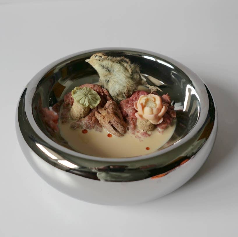 Halo Chrome – matskål i keramik – stilren & morrhårsvänlig