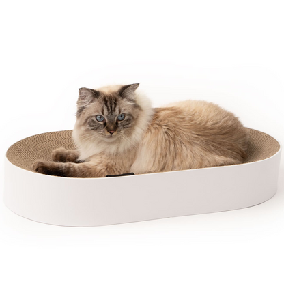 Långhårig maskad katt som ligger bekvämt i en oval designad klösbädd med vit ram