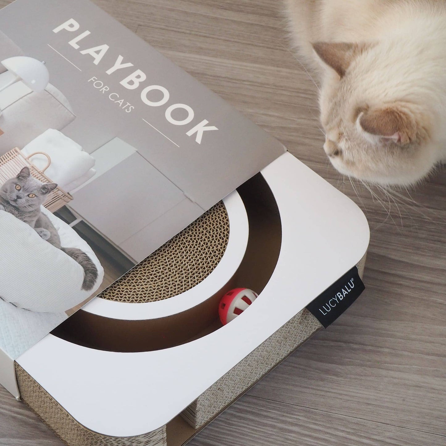 Playbook – Interaktiv kattleksak
