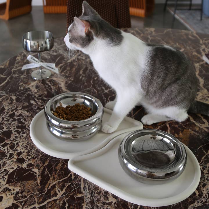 Svartvit katt vid två kromade Halo Chrome matskålar placerade på ljusa silikonunderlägg på ett marmorgolv