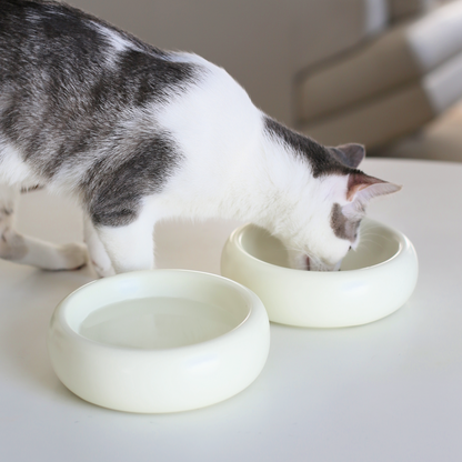 Gråvit katt som äter mat ur vita keramikskålar Halo 