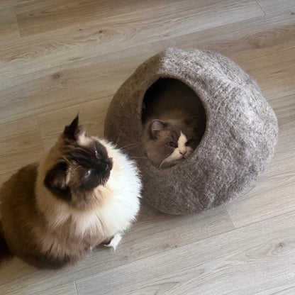 Två vuxna Ragdollkatter, Pixel och Karamell, vid Haven kattgrotta i jordbrun ull. En katt vilar i grottan medan den andra sitter bredvid.