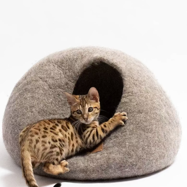 Haven kattgrotta i naturlig ull – Jordbrun med katt som vilar