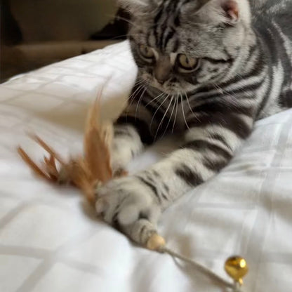 Stripig tabbykatt som ligger på en säng och fångar fjädrarna på en rolig interaktiv kattvippa