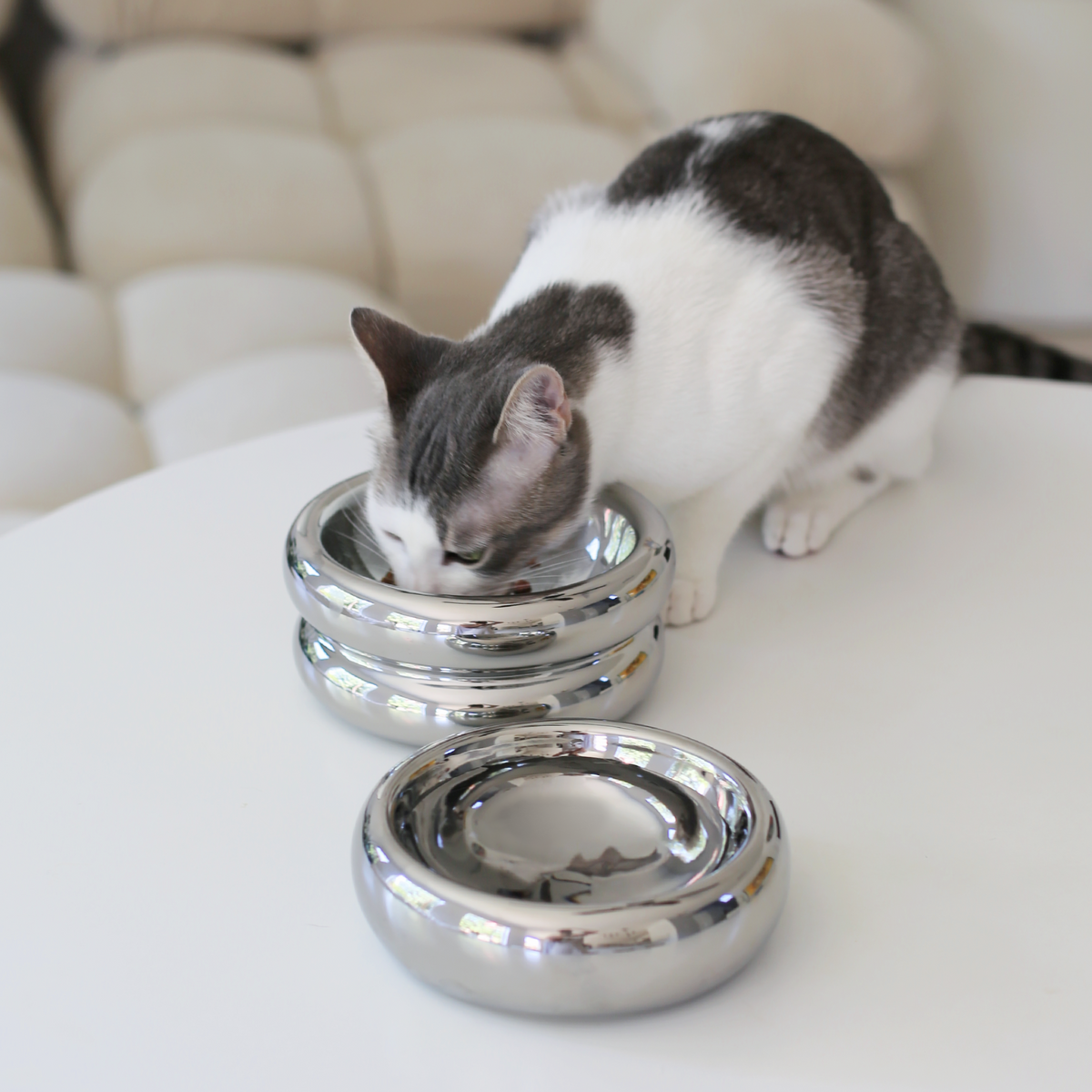Gråvit katt vid en stilren matplats med två glänsande kromade matskålar på ett ljust underlägg