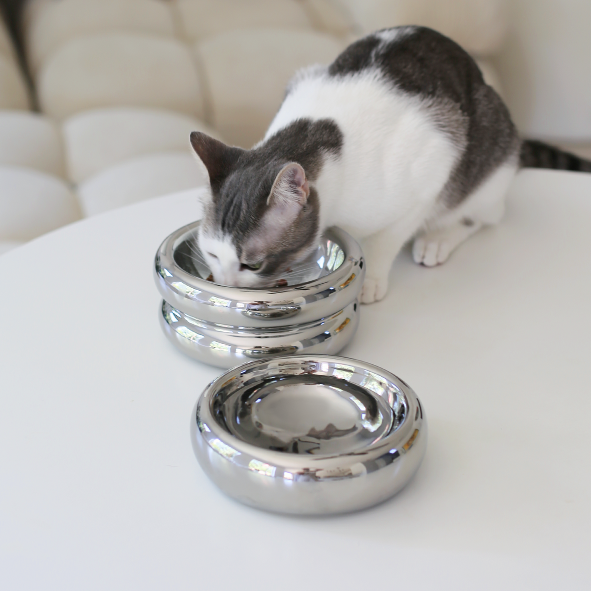 Gråvit katt som sitter vid en elegant matplats med två glänsande kromade matskålar