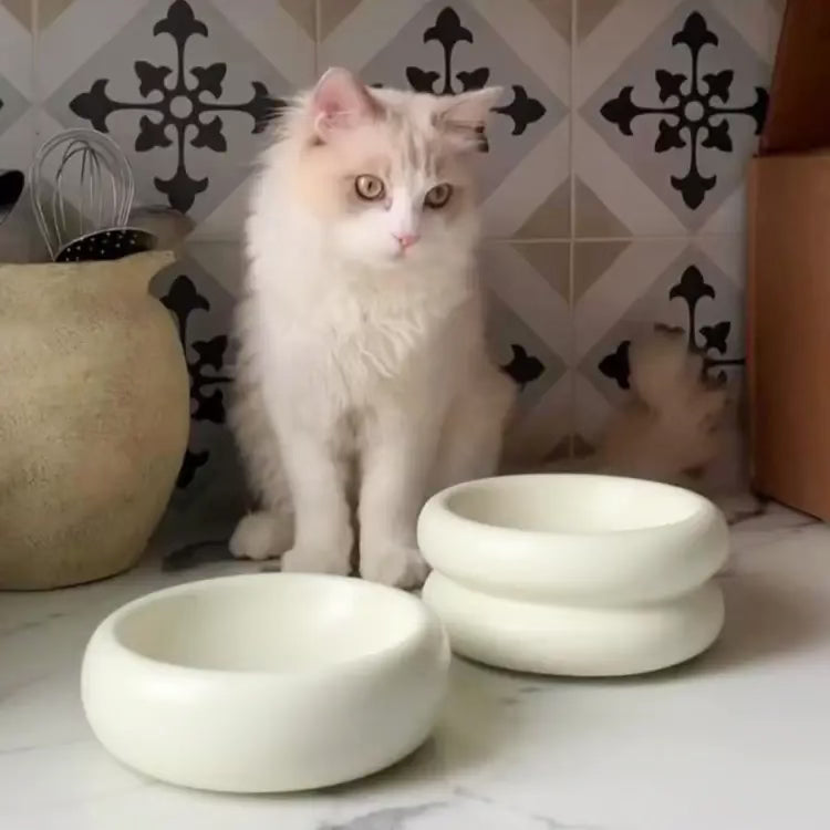 Långhårig fluffig katt som sitter bredvid stilrena vita Halo matskålar i ett kök