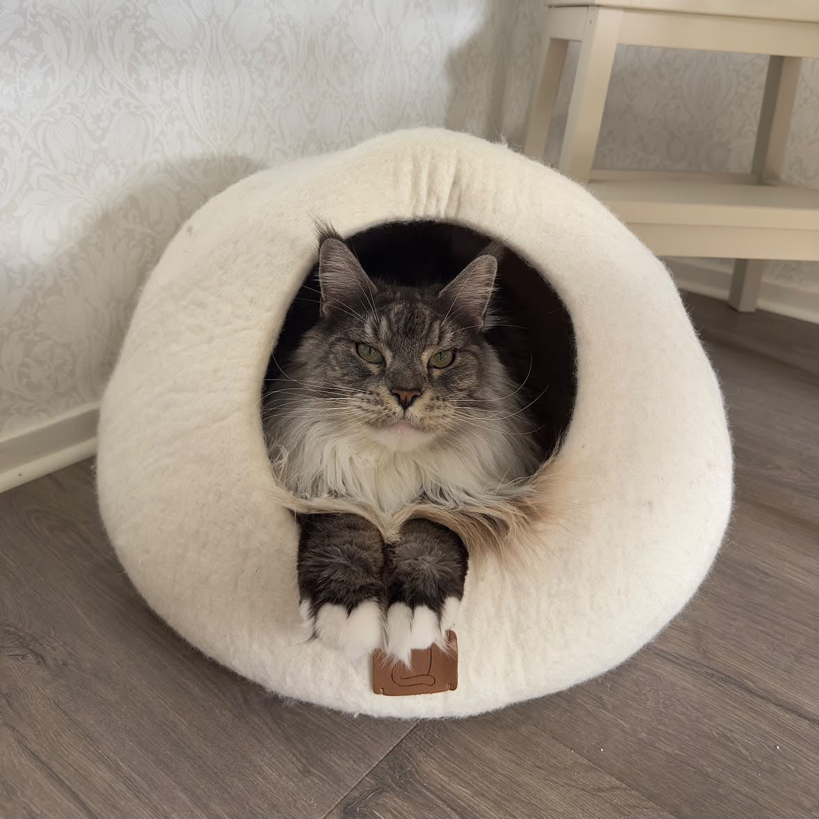 Maine Coon-katt som vilar i en vit handgjord kattgrotta i naturlig ull, Haven Extra stor.