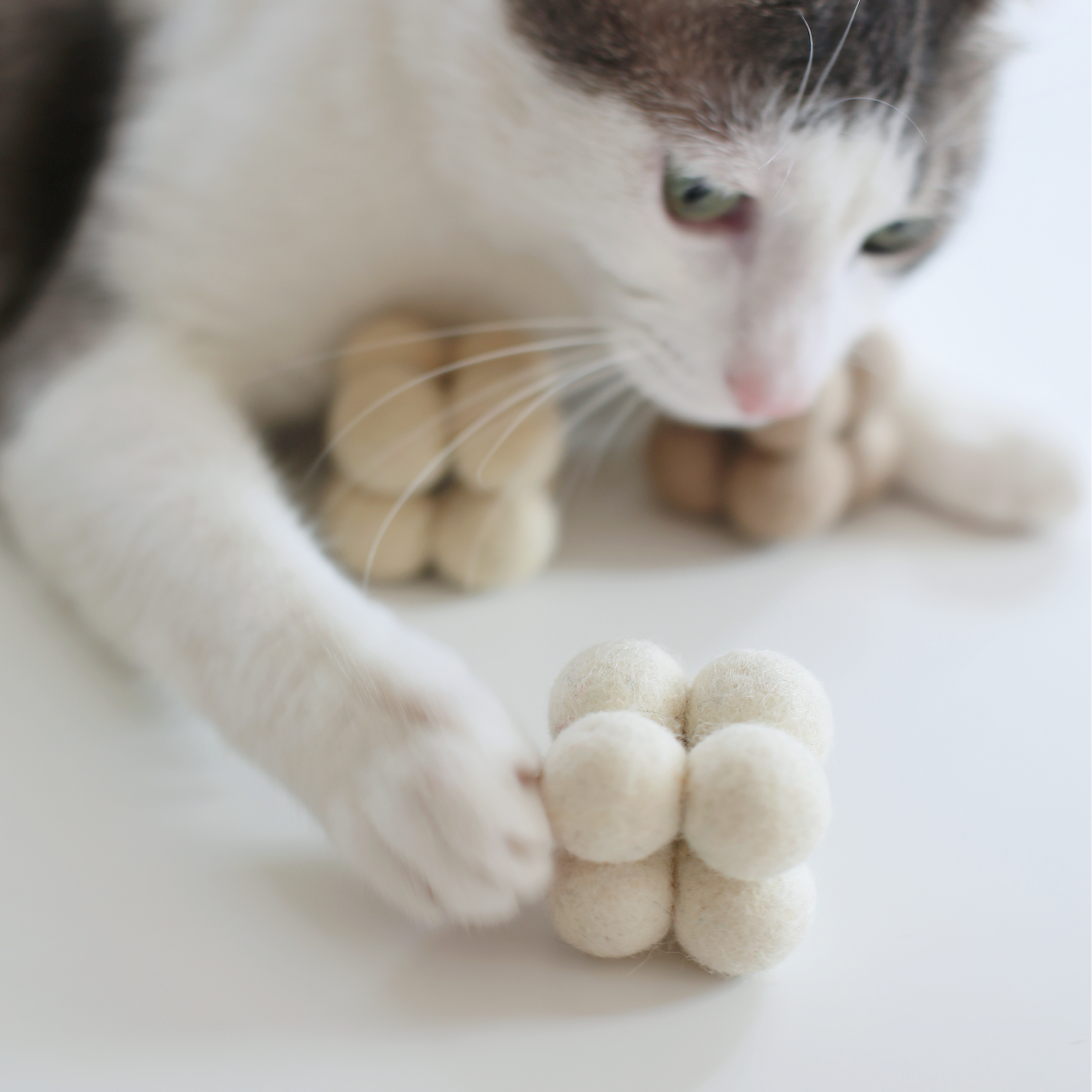 Vit katt som håller ett stadigt tag om en ljus geometrisk ullboll med sina tassar