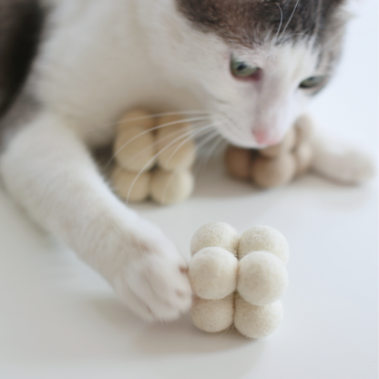 Vit katt som håller ett stadigt tag om en ljus geometrisk ullboll med sina tassar