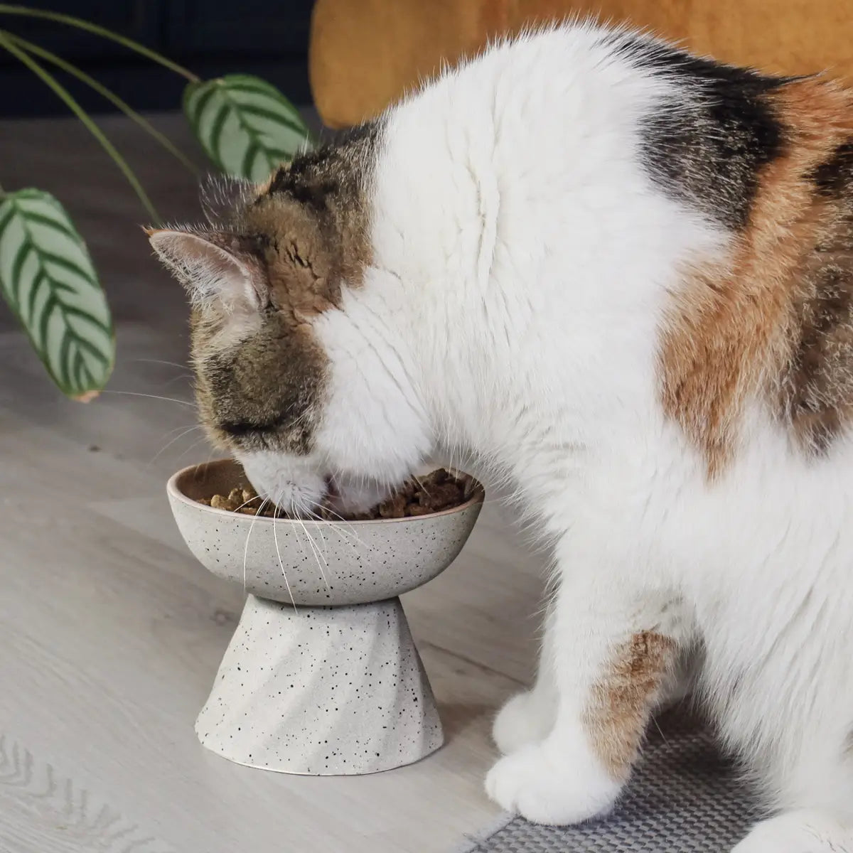 upphojd matskal stenlook